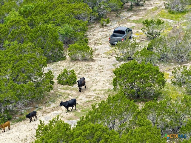 902 County Road 327, Gatesville, TX 76528 - photo 17