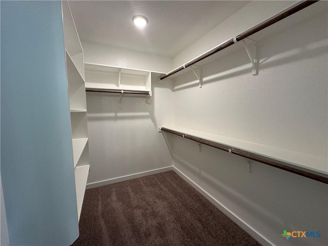 spacious closet featuring dark colored carpet