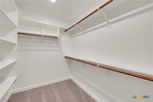 spacious closet with carpet floors