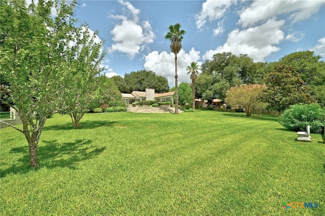 210 Oak Creek Cir, Luling, TX 78648 - view of green lawn
