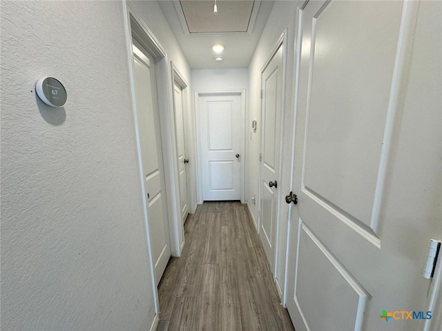 corridor featuring hardwood / wood-style flooring