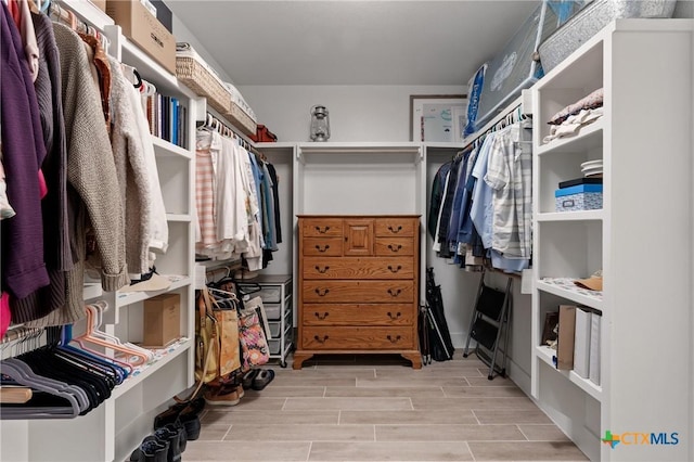 1306 Crystal Spgs, Salado, TX 76571 - spacious closet with wood finished floors