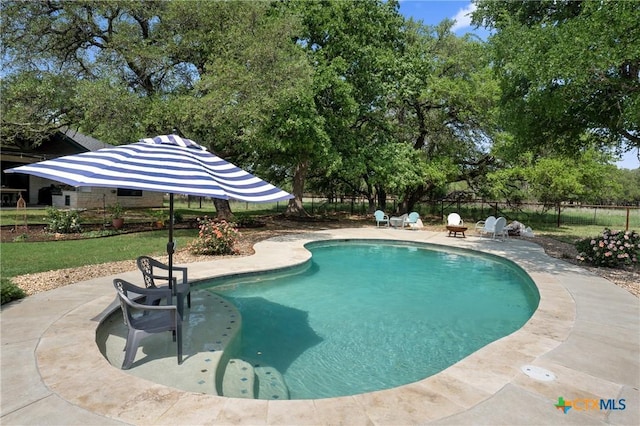 1306 Crystal Spgs, Salado, TX 76571 - view of swimming pool featuring a patio area