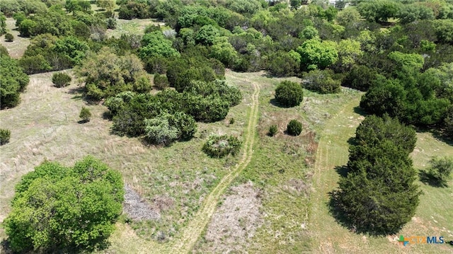 1306 Crystal Spgs, Salado, TX 76571 - aerial view of property and surrounding area