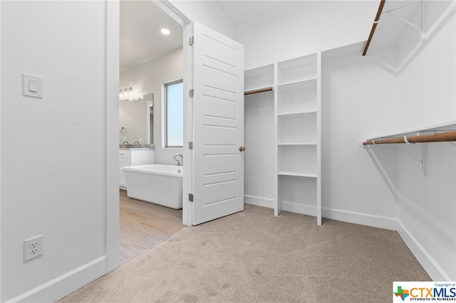 walk in closet with light carpet