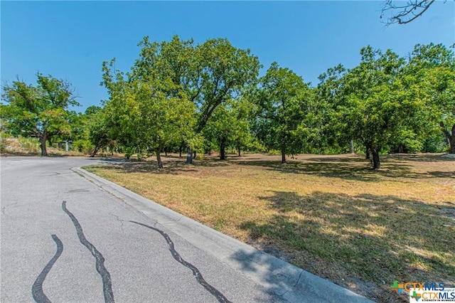 Listing photo 2 for 1015 Rivers Edge Dr, Belton TX 76513