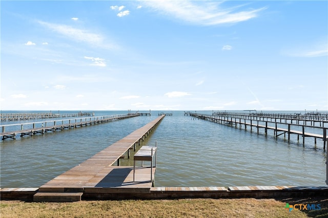 dock area with a water view