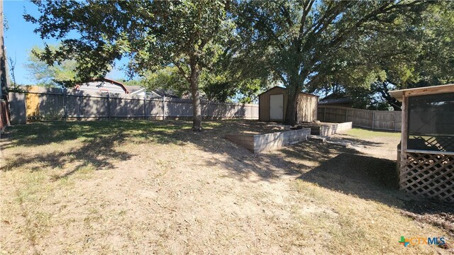 view of yard featuring a shed