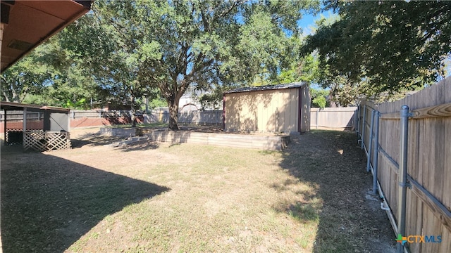 view of yard featuring a storage shed