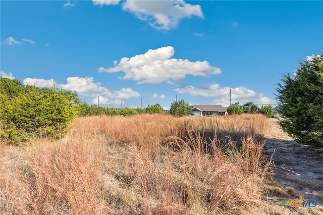 115 Jacob Dearing, Blanco, TX 78606