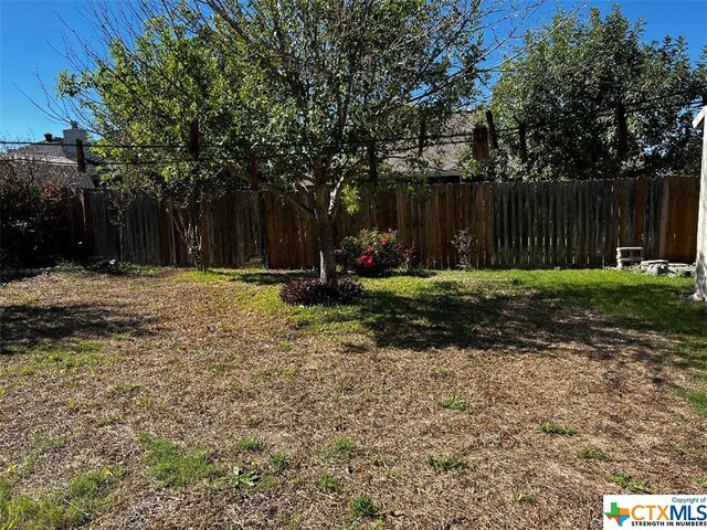4305 Foster Ln, Killeen, TX 76549 - view of yard