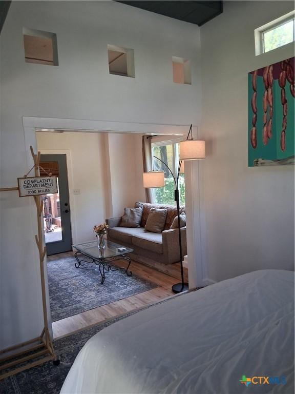 1837 Colleen Dr, Canyon Lake, TX 78133 - bedroom with a towering ceiling, wood finished floors, and multiple windows