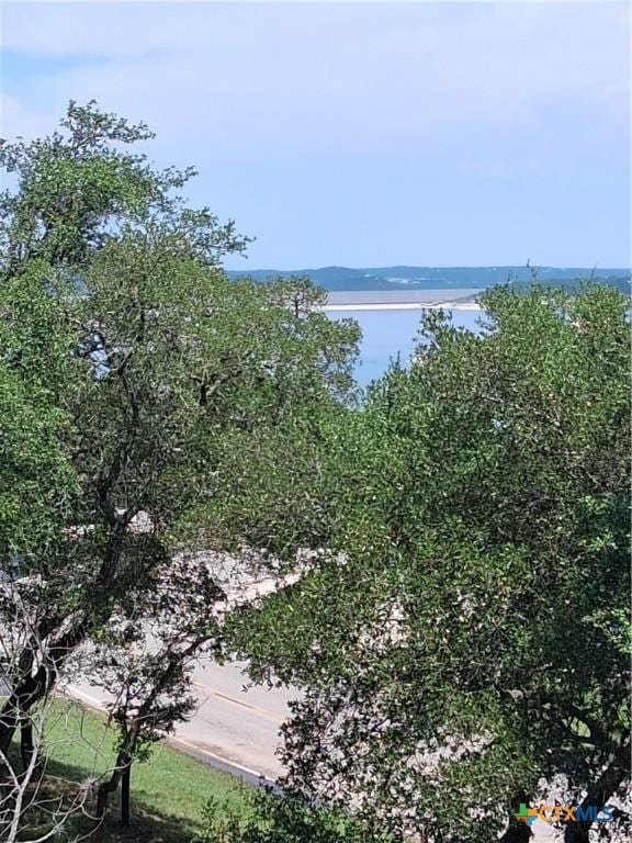 1837 Colleen Dr, Canyon Lake, TX 78133 - water view