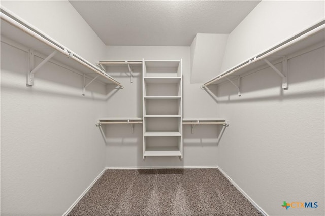 2048 Wigeon Way, Copperas Cove, TX 76522 - walk in closet with carpet flooring