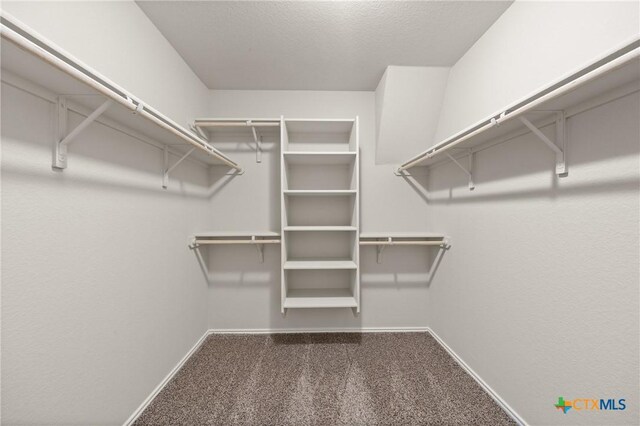 2048 Wigeon Way, Copperas Cove, TX 76522 - walk in closet with carpet flooring