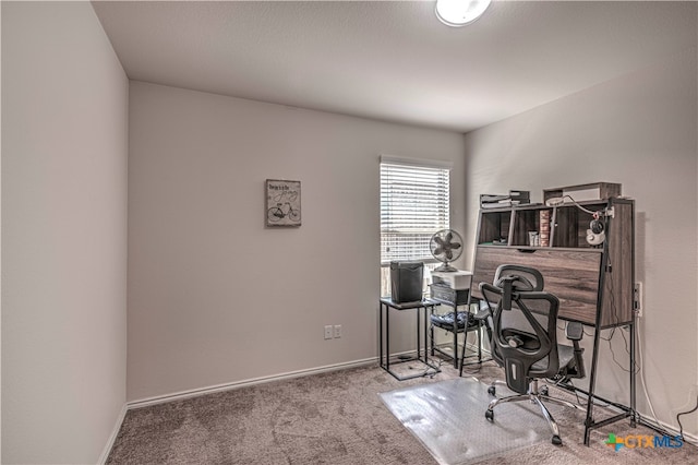 office featuring carpet flooring