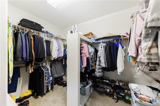 walk in closet with carpet