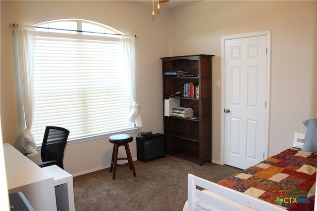 bedroom with dark colored carpet