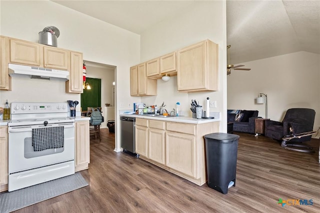 1801 Caprock Dr, Killeen, TX 76549 - kitchen featuring white range with electric stovetop, under cabinet range hood, light brown cabinets, stainless steel dishwasher, and lofted ceiling
