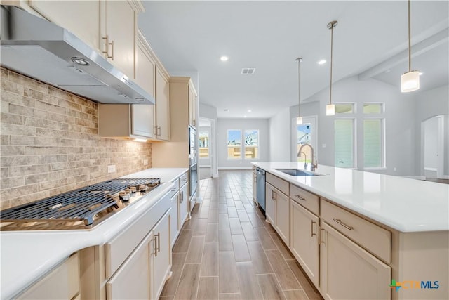 kitchen featuring tasteful backsplash, under cabinet range hood, light countertops, appliances with stainless steel finishes, and a sink