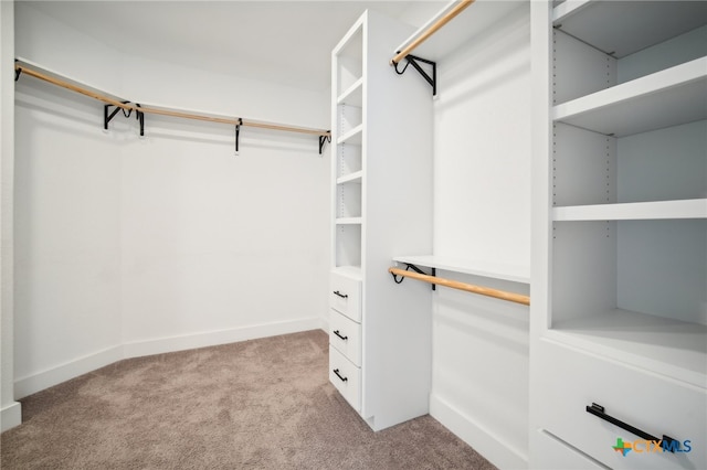 spacious closet with light colored carpet