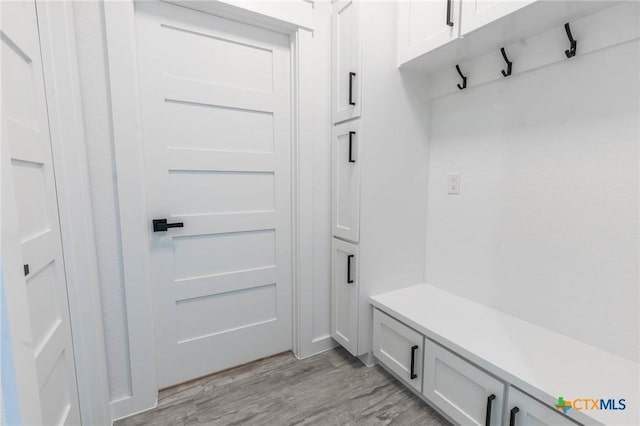 mudroom featuring light wood finished floors