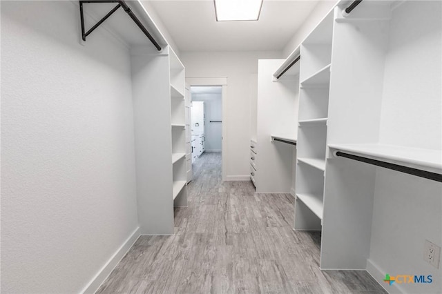 spacious closet featuring light wood-style flooring