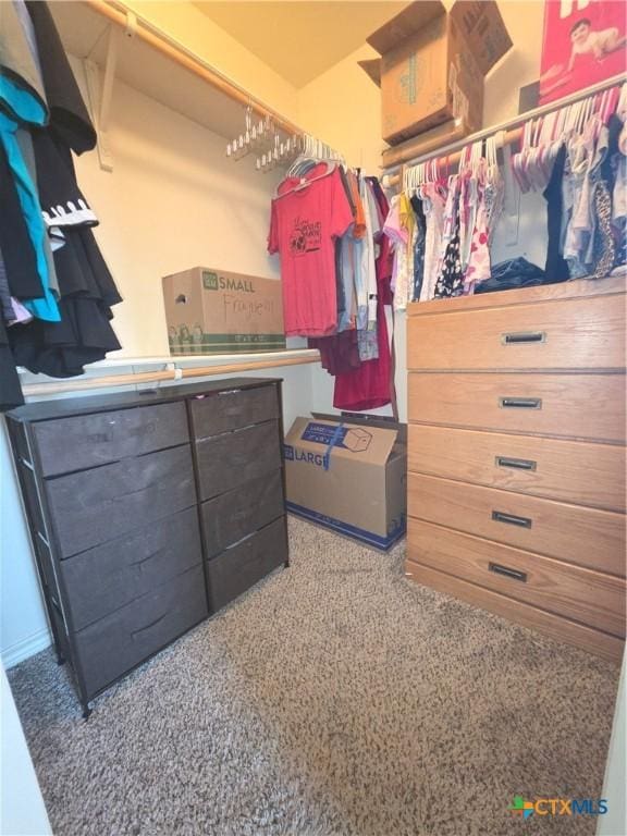 1212 Redstone Dr, Temple, TX 76502 - spacious closet with carpet