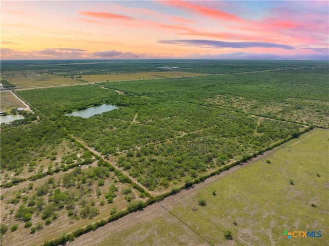 Listing photo 3 for TBD N US Highway 281, Alice TX 78332