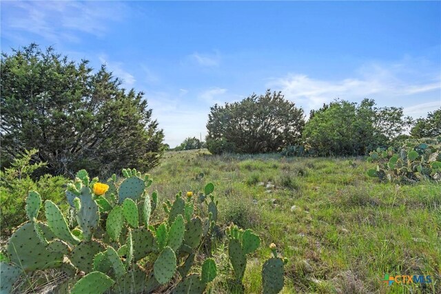TBD Indian Sky Court, Bertram, TX 78605