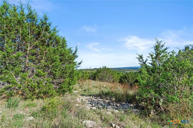 TBD Indian Sky Court, Bertram, TX 78605