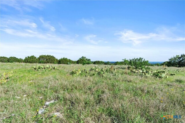 TBD Indian Sky Court, Bertram, TX 78605