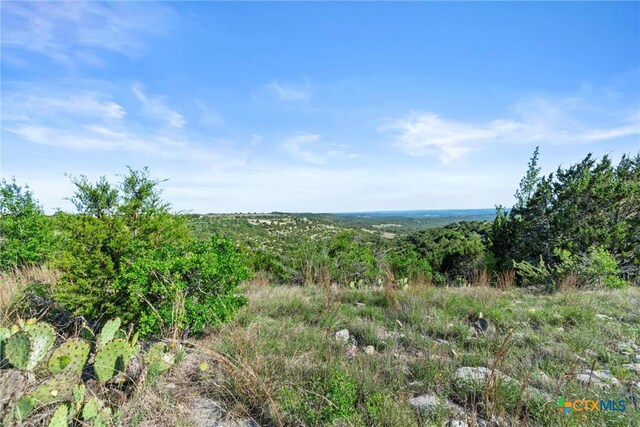 TBD Indian Sky Court, Bertram, TX 78605