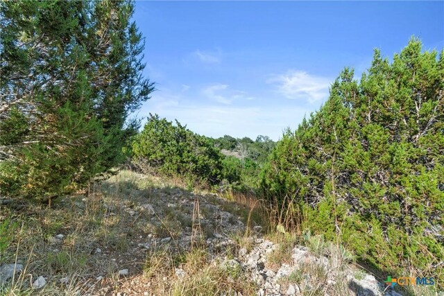 TBD Indian Sky Court, Bertram, TX 78605