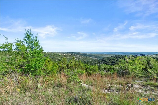 TBD Indian Sky Court, Bertram, TX 78605