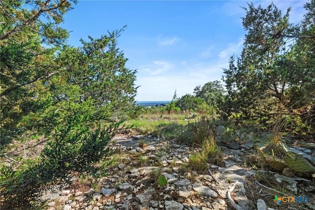TBD Indian Sky Court, Bertram, TX 78605