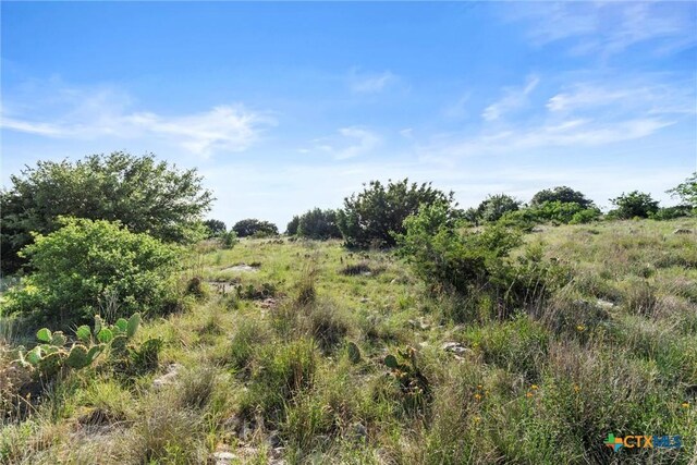TBD Indian Sky Court, Bertram, TX 78605