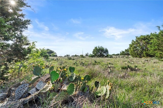 TBD Indian Sky Court, Bertram, TX 78605