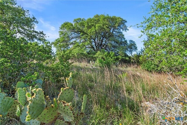 TBD Indian Sky Court, Bertram, TX 78605