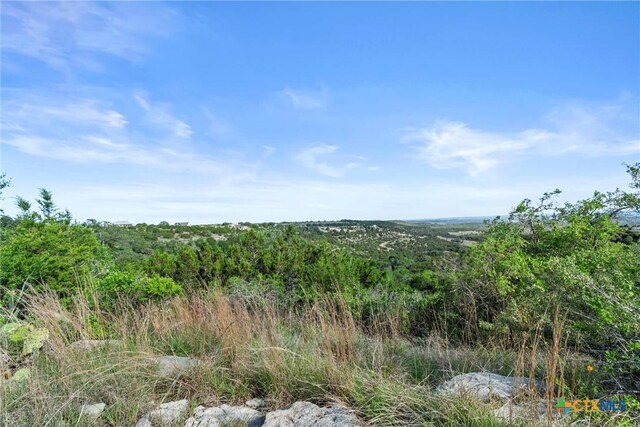 TBD Indian Sky Court, Bertram, TX 78605