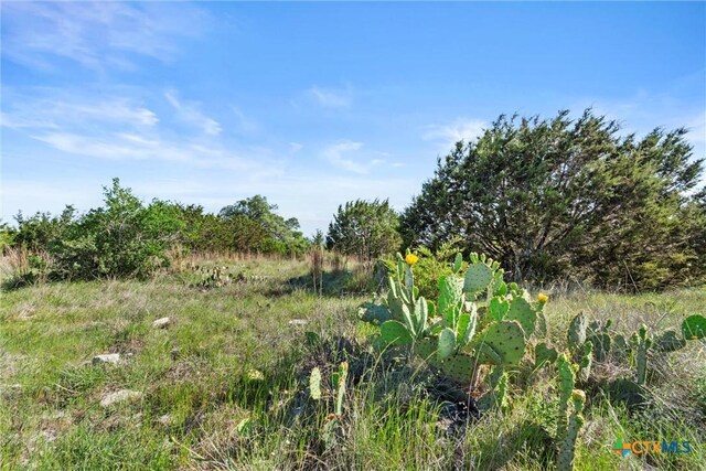 TBD Indian Sky Court, Bertram, TX 78605