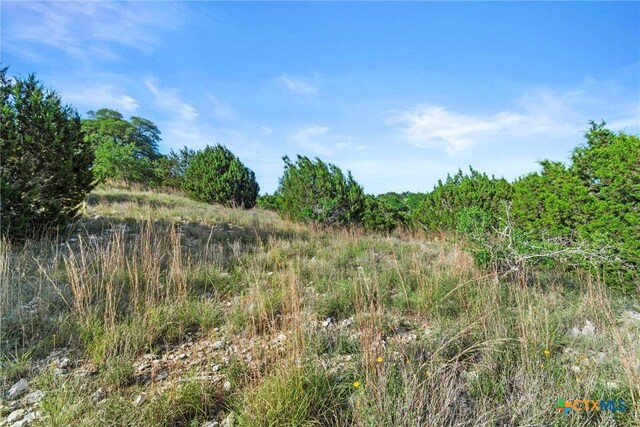 TBD Indian Sky Court, Bertram, TX 78605