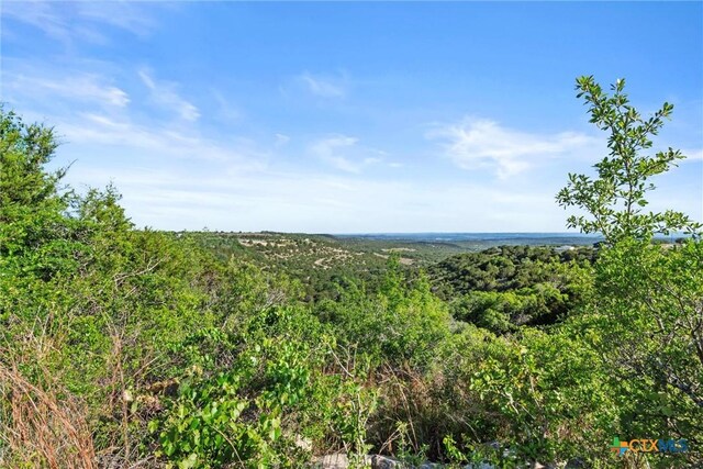TBD Indian Sky Court, Bertram, TX 78605