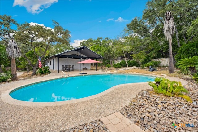 30817 Wildcat Dr, Bulverde, TX 78163 - outdoor pool with a patio and view of scattered trees