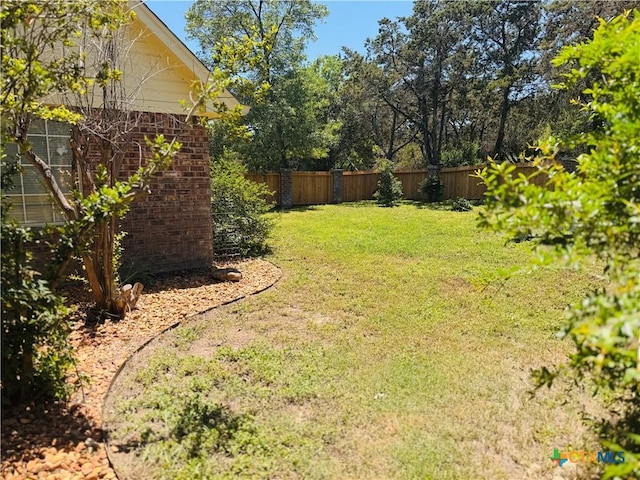 3900 Chisholm Trl, Salado, TX 76571 - view of yard