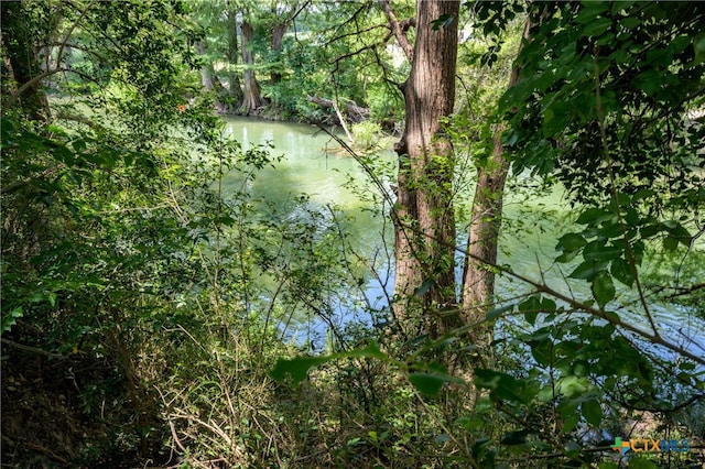 view of nature featuring a water view