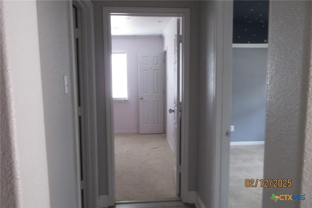 corridor featuring baseboards and light colored carpet