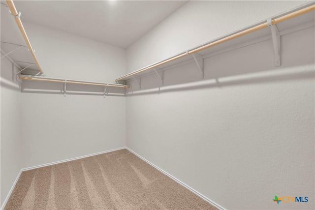 6106 Amelia Earhart Blvd, Killeen, TX 76543 - spacious closet with carpet flooring