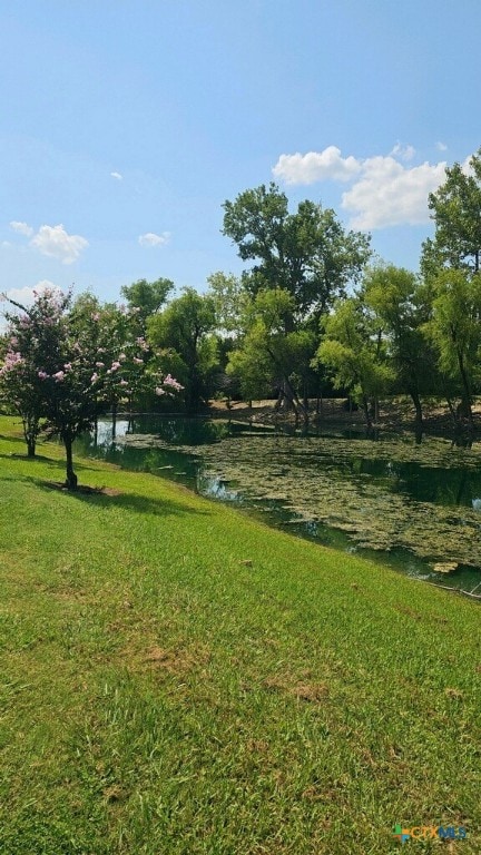 view of yard with a water view