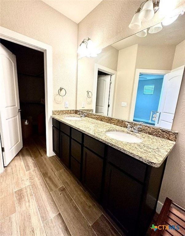 bathroom with vanity and wood-type flooring